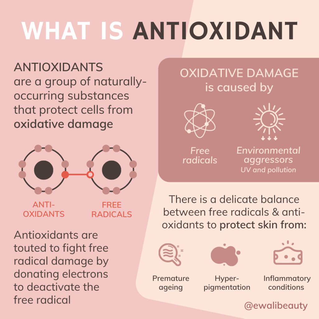 whats the significance of antioxidants in skincare products 3